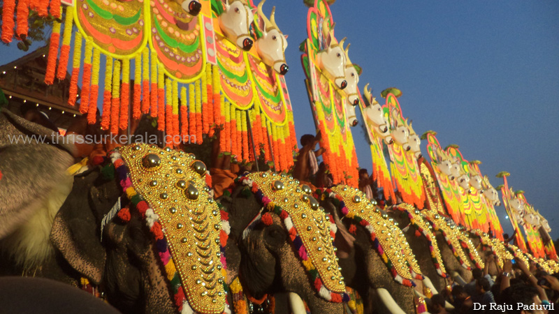 thrissur-pooram-2013-1 (47)